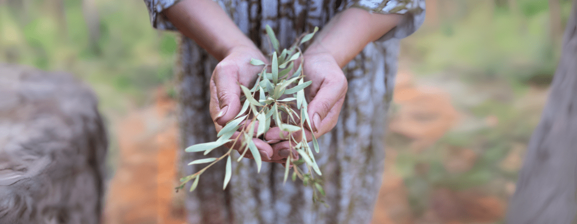 Yaye: The Aboriginal Skincare Brand Honouring Culture – Yaye